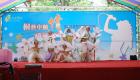 102年新北市桐花祭活動